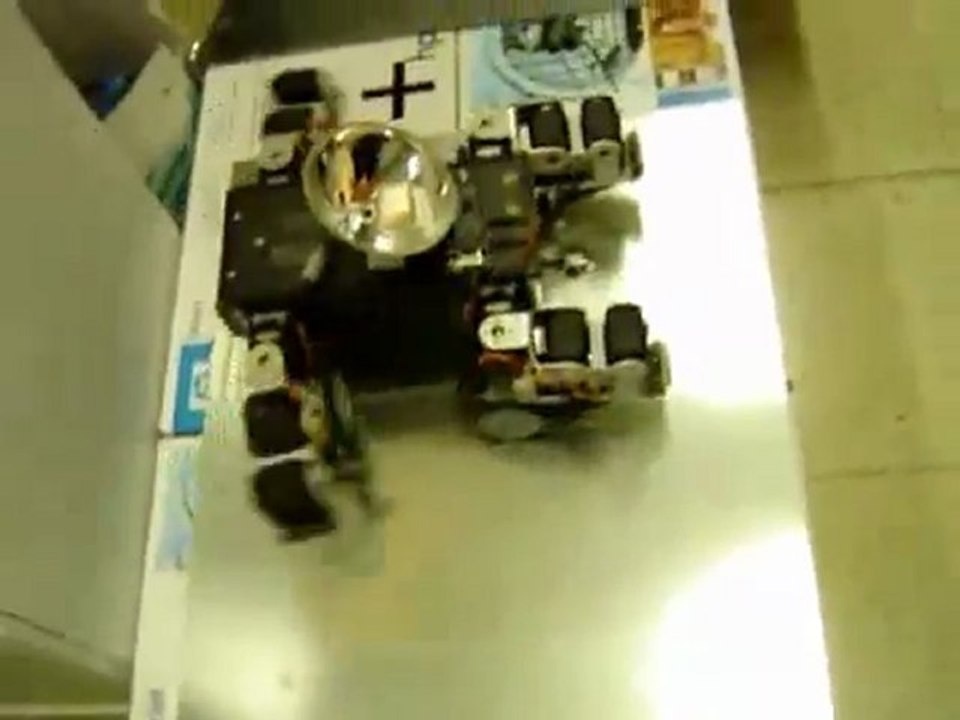 Quadruped Robot