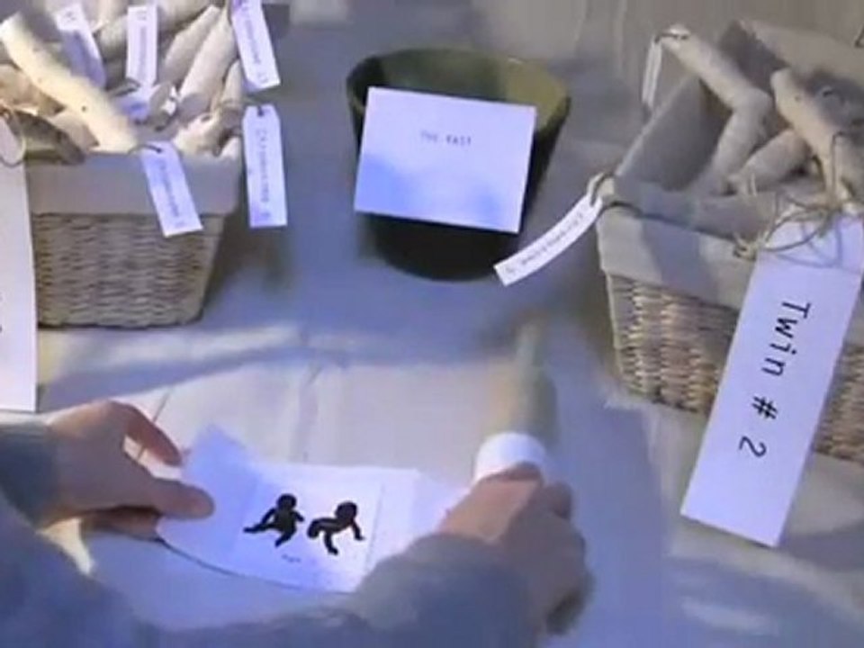 The Epigenetics of Identical Twins