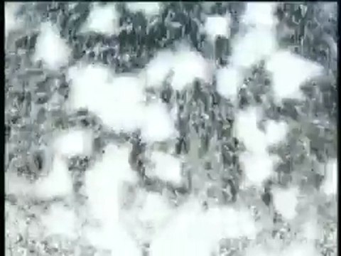 The God Particle-What is the Higgs Boson?