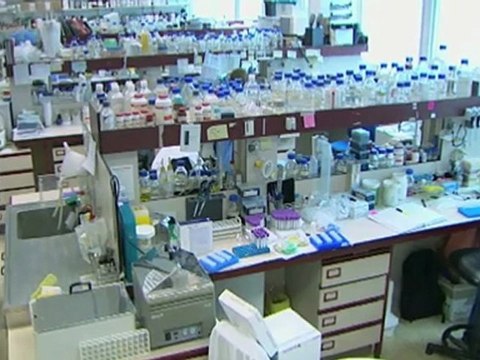 Stem cells the future of medicine?