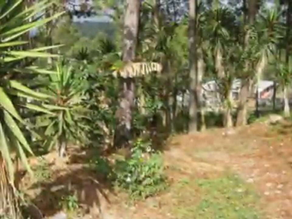 Terreno En Siguatepeque