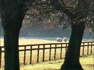 Müzeyyen Senar - Duydum Ki Unutmuşsun_0002