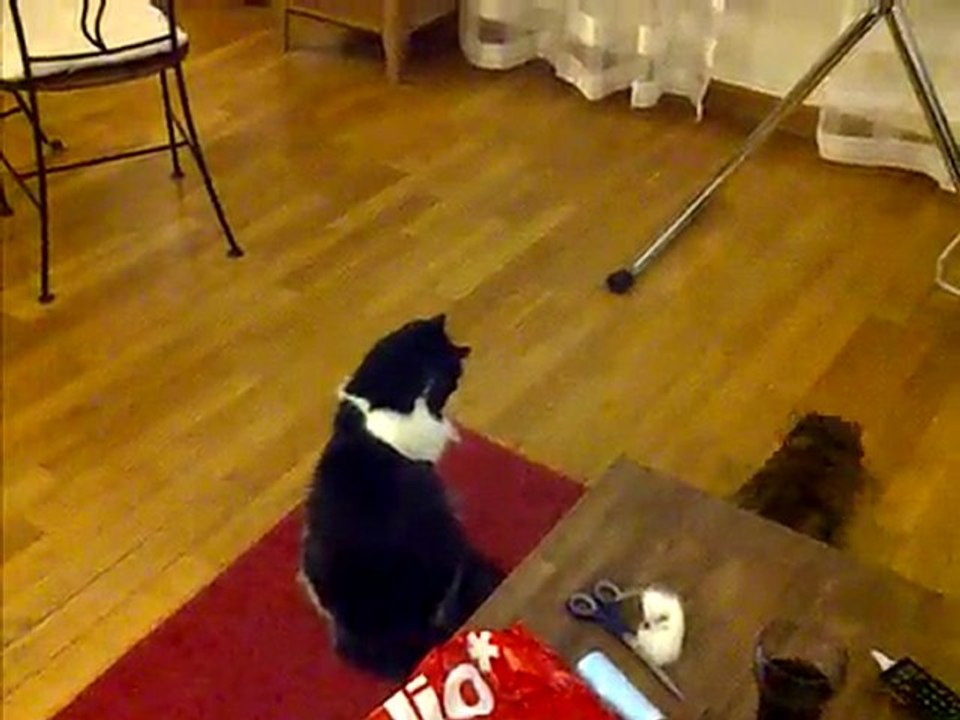 Gribouille et le laser
