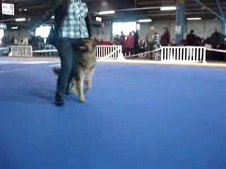 Eyden de la Vallée des Secrets en expo à Montluçon