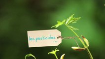 Claude Bureaux : jardiner autrement en réduisant l'usage des pesticides