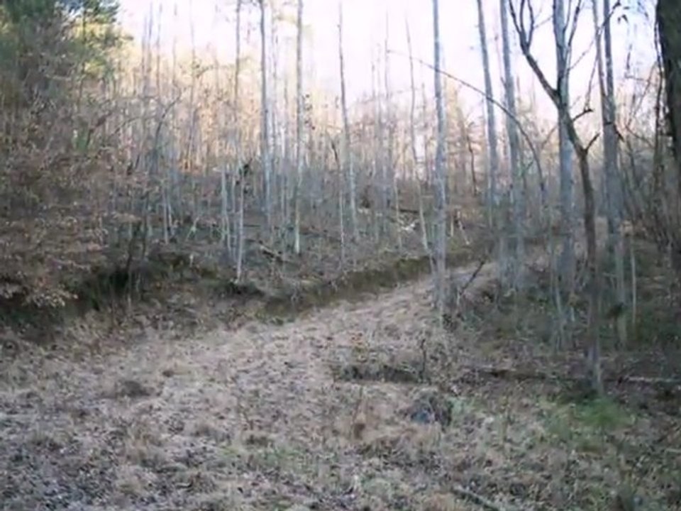 Homes for Sale - 396 Long Branch Rd - Ranger, GA 30734 - Lynn Barlow