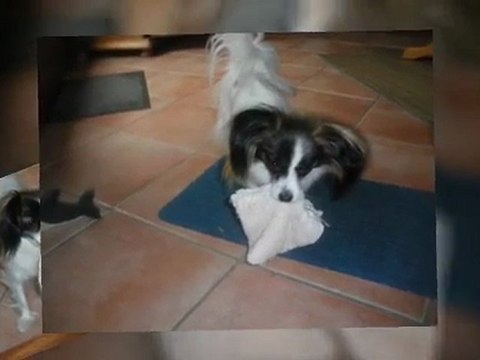 Evidence,mon merveilleux secret de la vallée