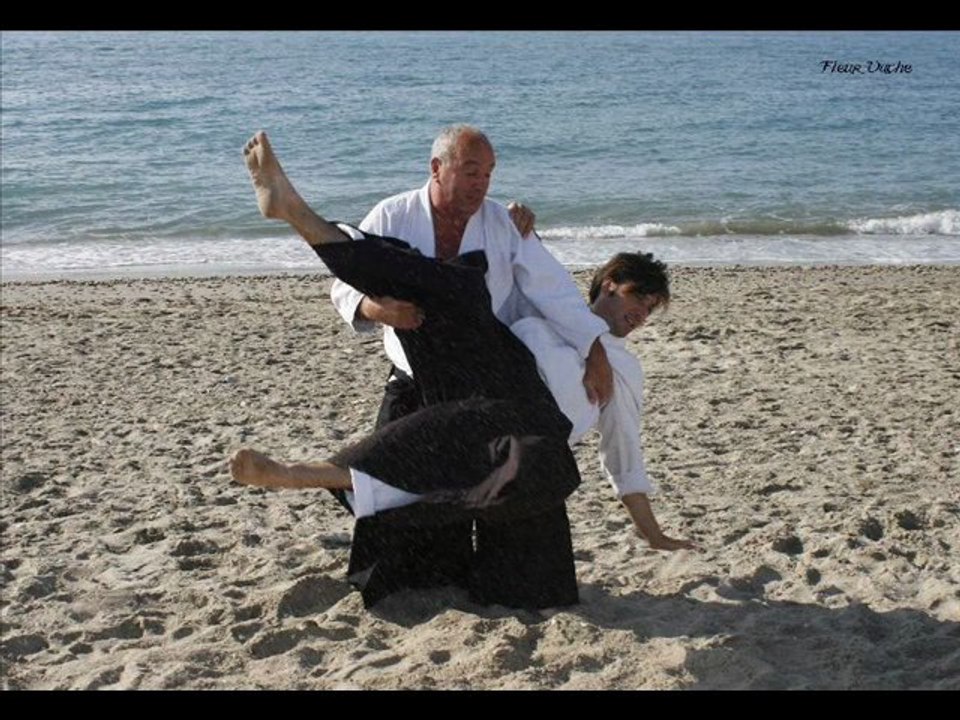 Aïkido Asptt Montpellier EPA-ISTA stages mensuels André Bouillon Sesnseï 2010/2011