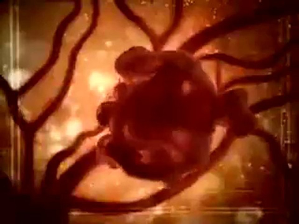 What cigarettes contain