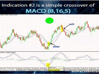 Nova Code Trader - Range Bar Training