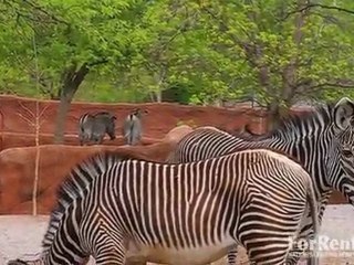 Kingston Green in Apple Valley, MN - ForRent.com