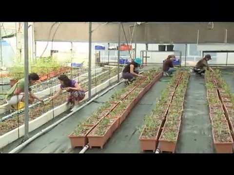 Ege Üniversitesi Ziraat Fakültesi