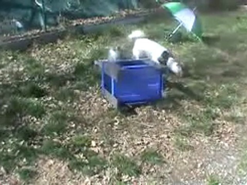 20110322140908