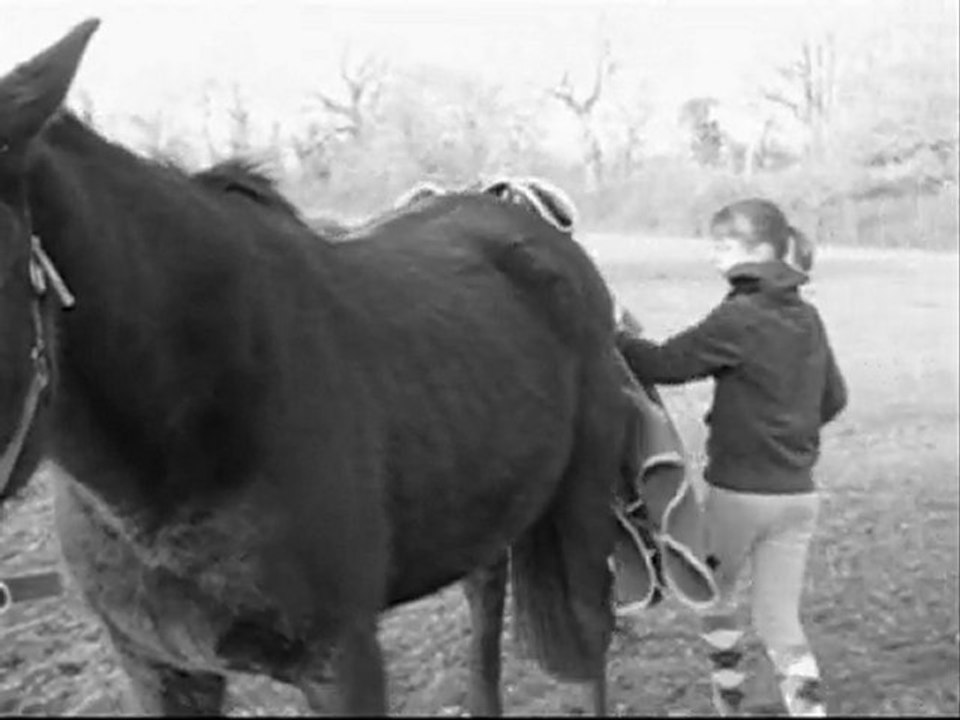Helfy, évolution, complicité.