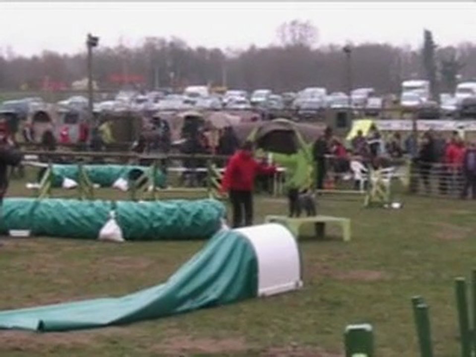 Premier concours agility - GPF - éliminé :-(((