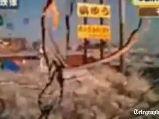 Voiture surprise par le tsunami - Actualité Buzz et Videos en streaming