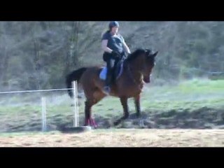 Quand arrive le printemps on est tous content!!!!