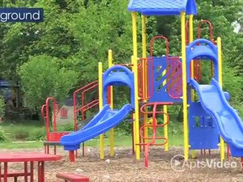 Blue Diamond Apartments in Louisville, KY - ForRent.com