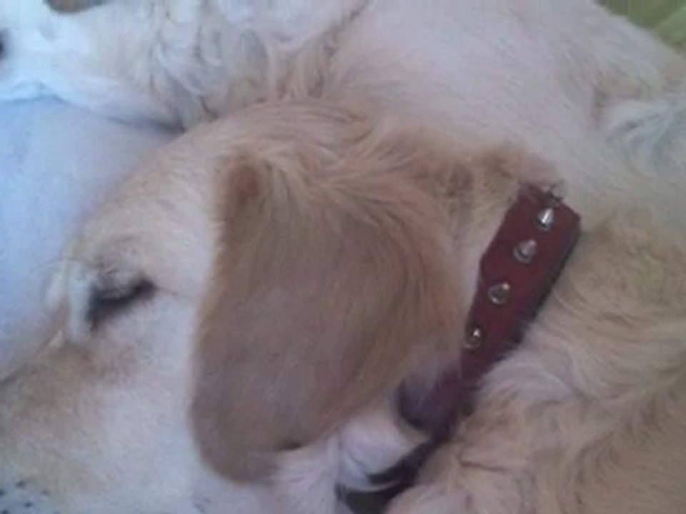 Metin Arolat izmir Eda-Memzy Cover mix