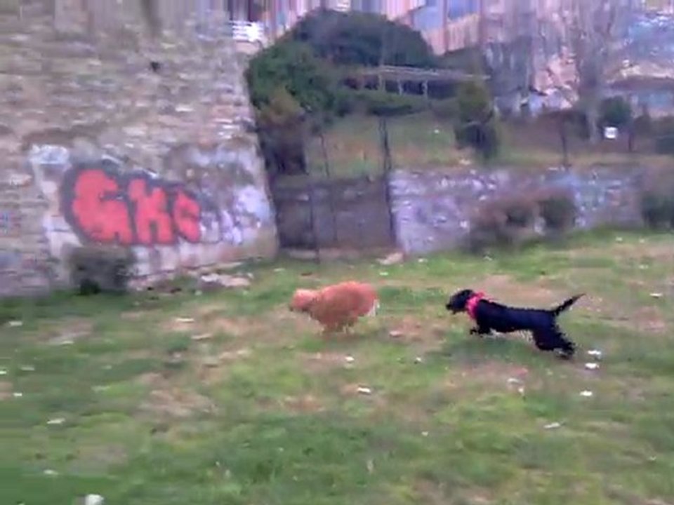 Mathilda ve juliyet