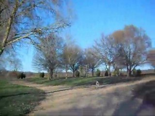 Stan's Directions Guide