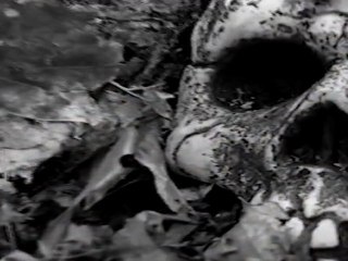 Die schlafende Stadt Buchtrailer