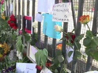 El último adios al oso Knut, estrella del zoo de Berlín