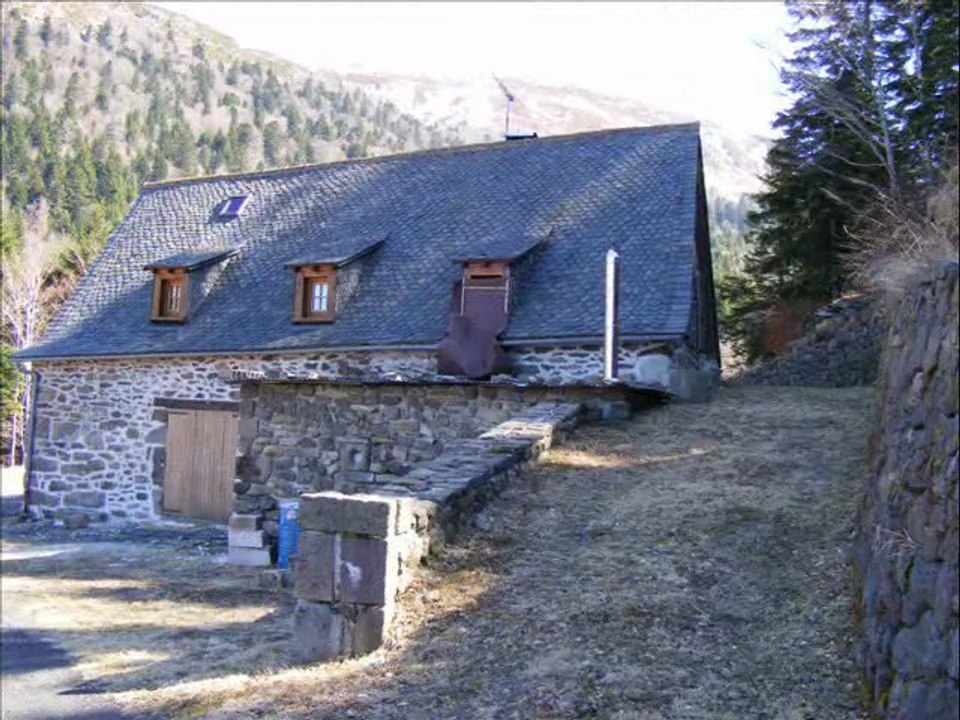 dans les bois du falgoux vallée du mars cantal