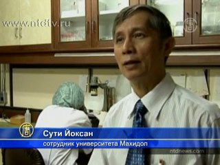 Ученые изобрели вакцину от тропической лихорадки