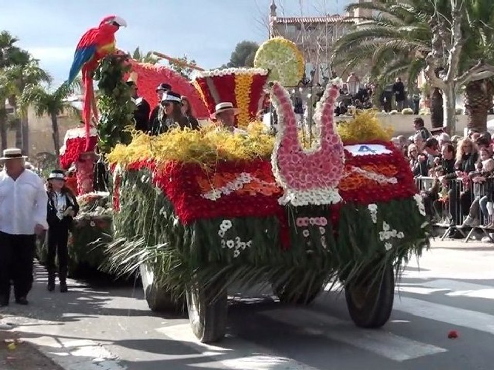 Corso fleuri  Lavandou 2011