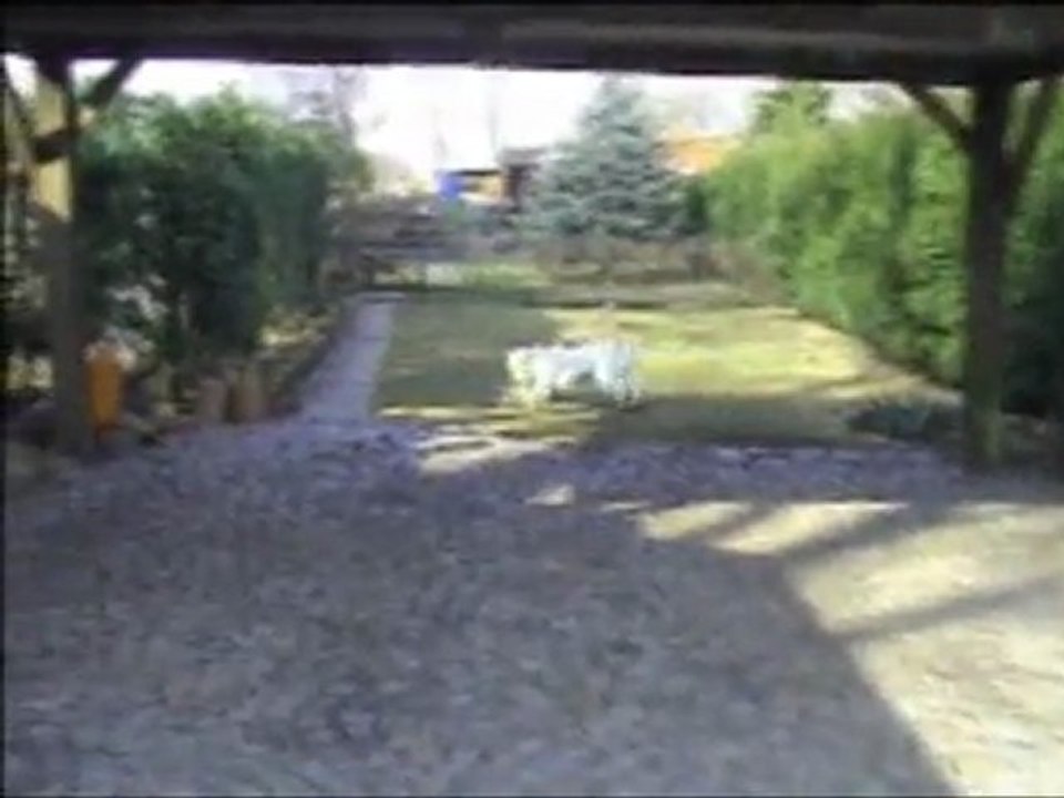 Adorah`s Day and Night - *Jonesie 11 month with Toy