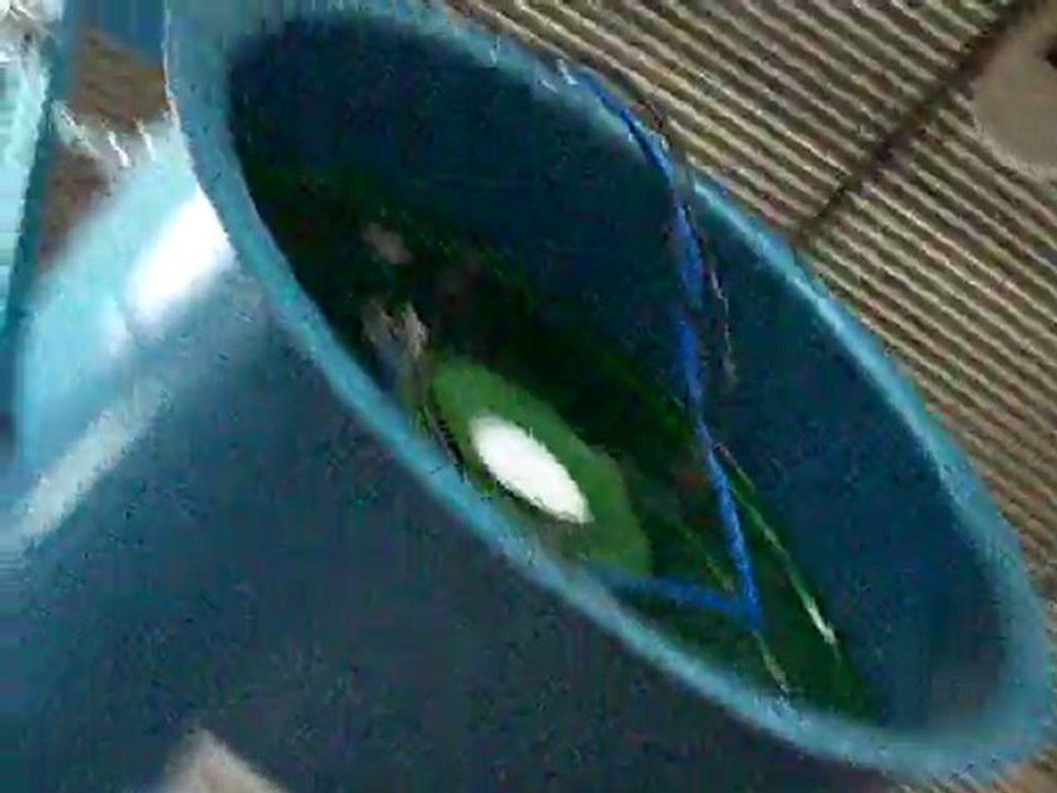 Insuflador Axial MAXIVENT® instalado na estrutura metálica.