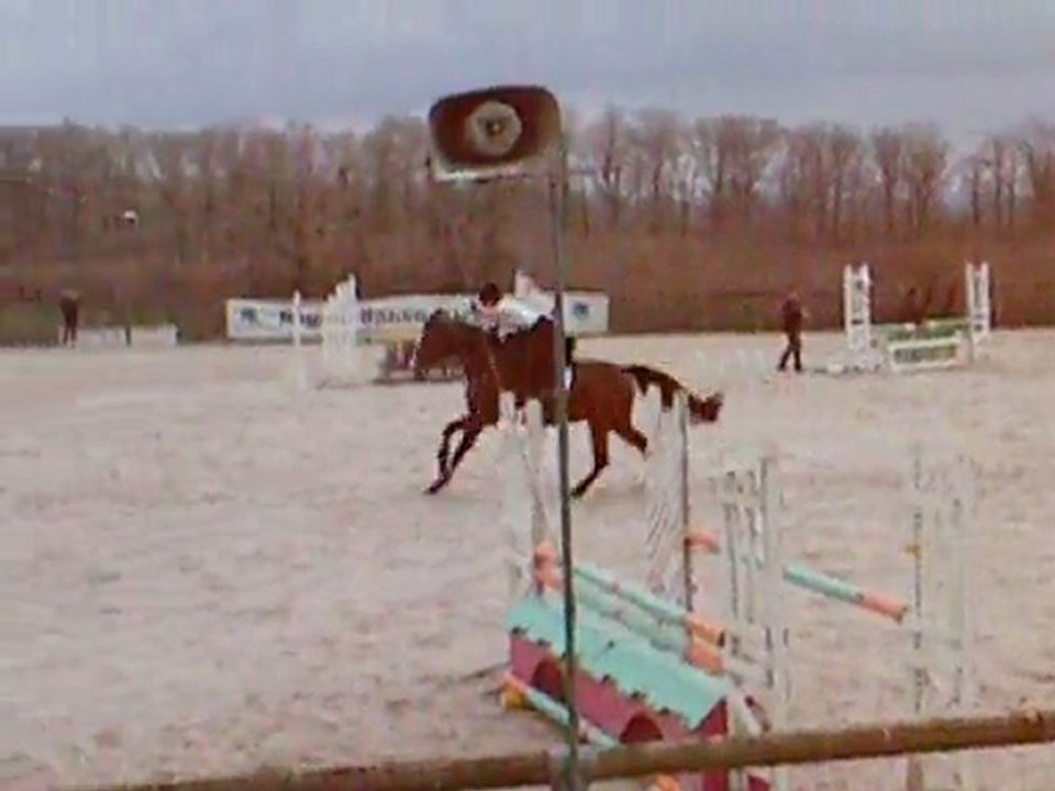 amazone dolores / aihnoa CSO haras du pin