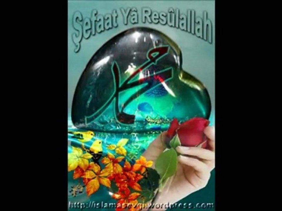 Adem Pala Şefaat Ya Resulallah