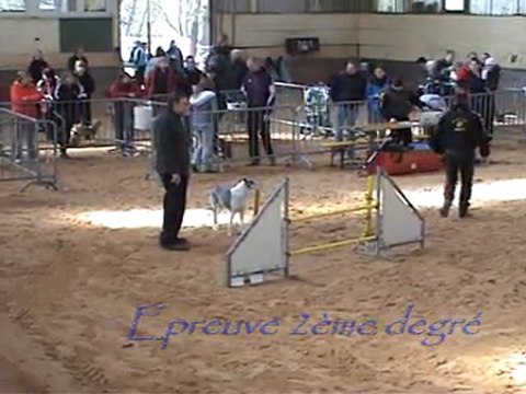 St Avold 2011 - Open Jumping Plus et Degrés