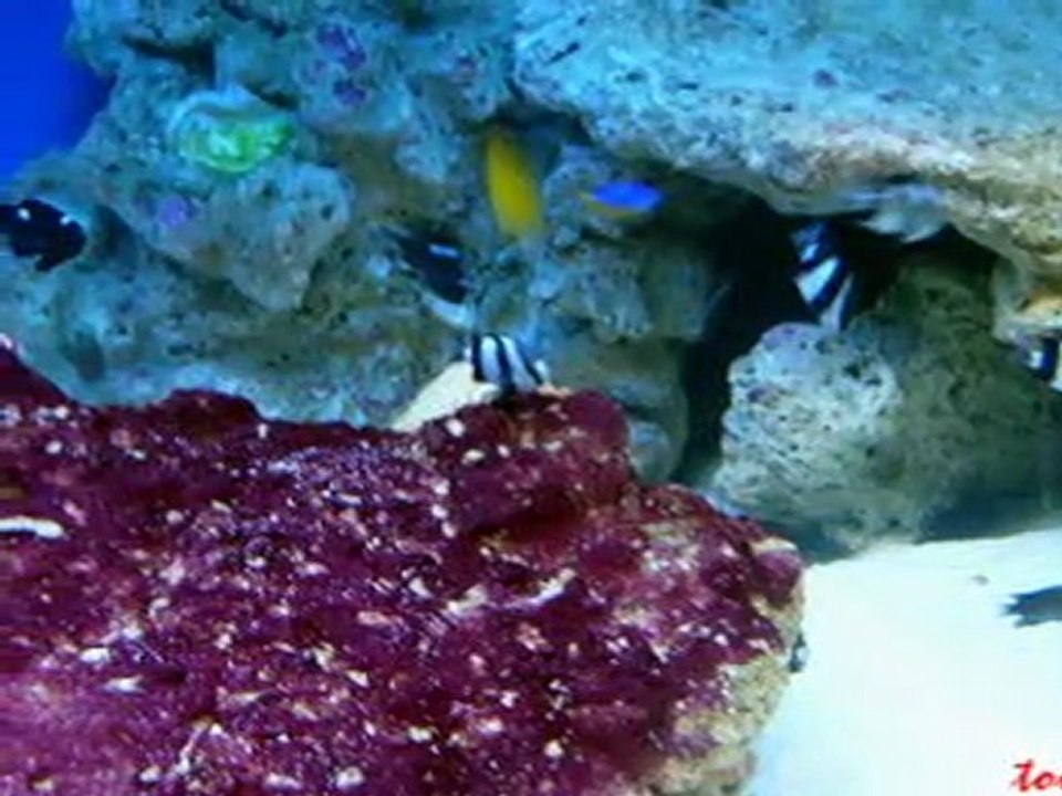 podróż do przeszłości część 2