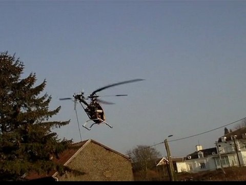 Align T-rex 500 cool flight