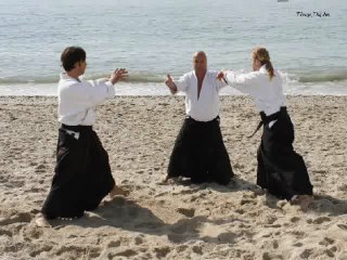 Montpellier Ecole Aïkido EPA-ISTA stages  André Bouillon 14/15mai et 21 mai 2010/2011