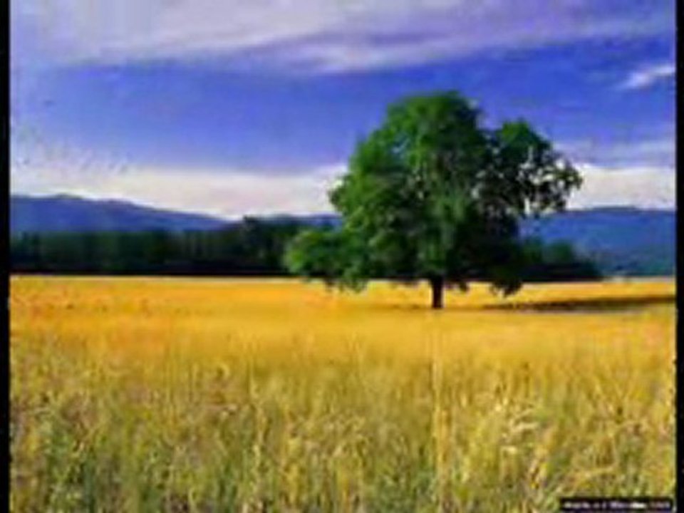 üflediler söndüm murat toraman