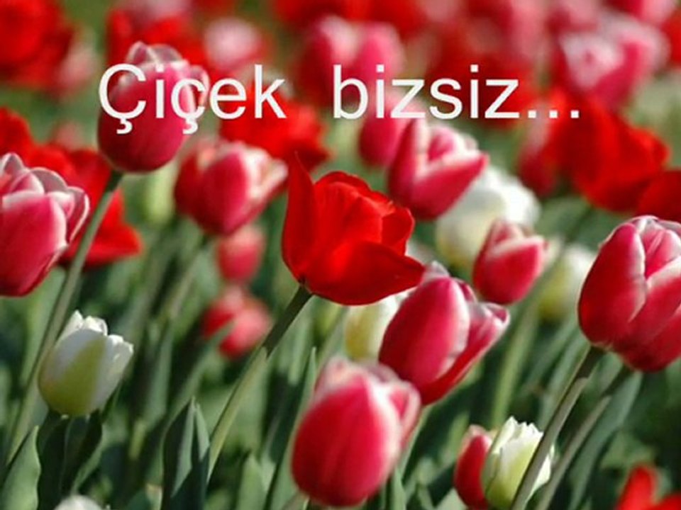 GÖÇ-ADNAN KARADUMAN