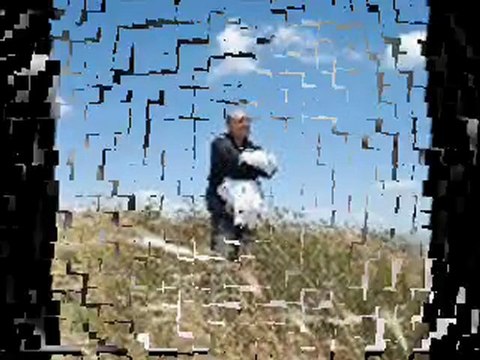 KIVIRCIK ALİ-GÜL TÜKENDİ BEN TÜKENDİM