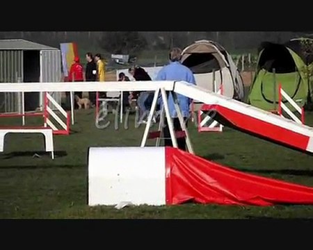 Arthur 1 er concours d'agility