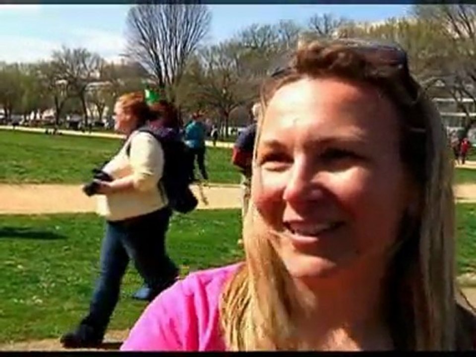 Elephants march in Washington