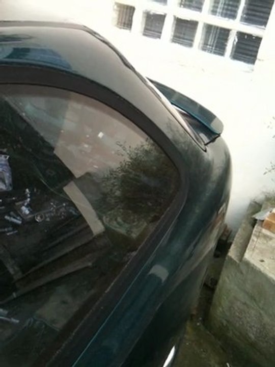 sort de l'hibernation