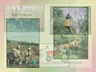 משה ברק גבת