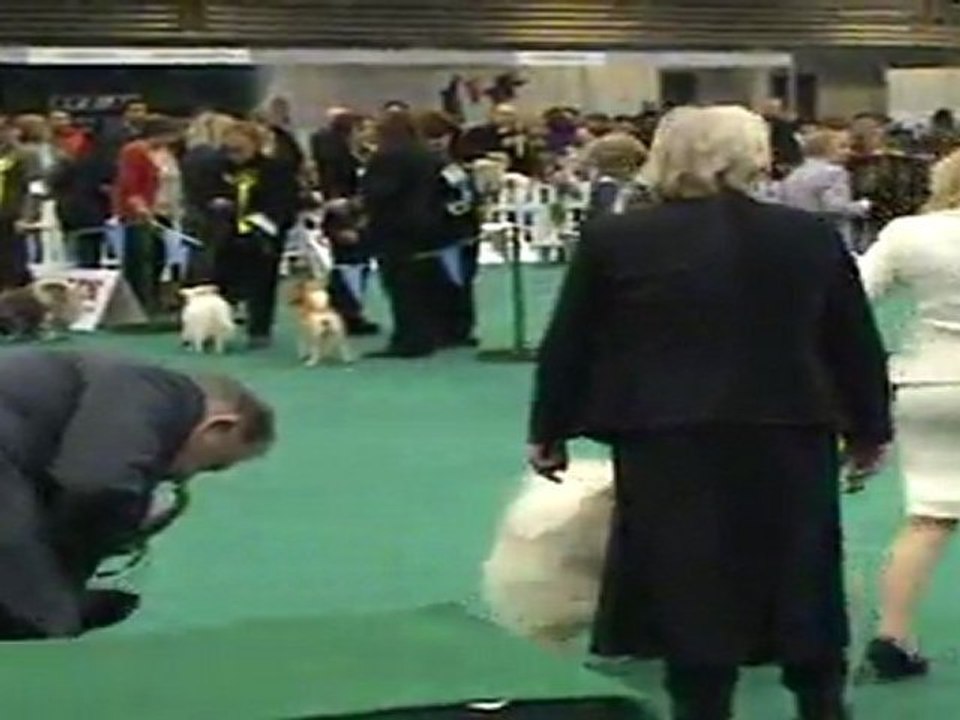 St Patricks Celtic winners show