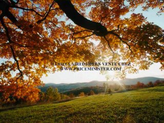 MARIECLAIRED2005 - Casting JVSCAZ Saison #2