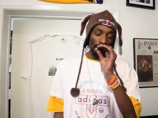 Vote November 2nd.org "Prop 19" starring Snoop Dogg