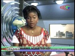 Arrivée des diables rouges de la diaspora