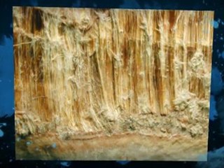 Asbestos Testing Oakland